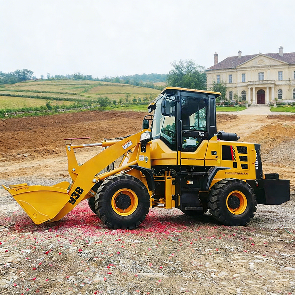 Euro 5 Diesel Wheel Loader 2To - огляд і ціна Wheel Loader